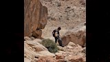 وعورة الجبال _10