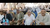تحرك عاجل في إسنا لمواجهة دودة تهدد محصول الطماطم