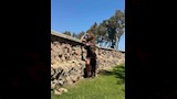 مي سليم تلتقط صورا مميزة (2)_7