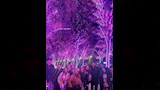 إطلالة ليلى علوي 