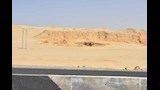 محافظ أسيوط يتفقد موقع لانشاء مأوي للكلاب الضالة