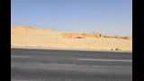 محافظ أسيوط يتفقد موقع لانشاء مأوي للكلاب الضالة
