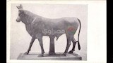 ارشيف اكتشافات الجمعية على مدار في القرن العشرين (4)