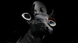 مقتنيات المتحف اليوناني الروماني بالإسكندرية (1)