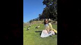 بسنت شوقي في أحد الحدائق_3