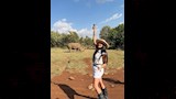 مي القاضي 