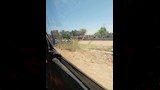 محافظ.اسيوط _10 (8)