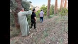 الشوك بدلاً من الزراعات الصيفية بقرى الفيوم_7