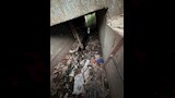 نضوب مياه الرى من الترع خلال فصل الصيف_4
