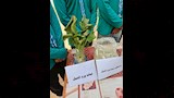 ورد النيل_19