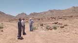 تفقد المدقات
