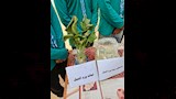 ورد النيل