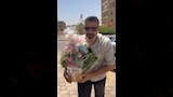 النجم ياسر جلال (1)
