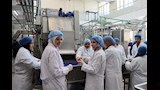 افتتاح خط إنتاج الطماطم المقشرة بجامعة الإسكندرية (2)