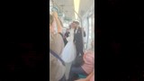 المونوريل يعلن جاهزيته لاستضافة حفلات الزفاف للمواطنين (4)