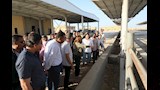 وزيرة التنمية ومحافظ البحر الأحمر يتفقدان المجزر الآلي (8)