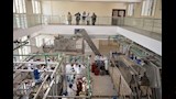 أول خط إنتاج للطماطم المقشرة في مصر (3)