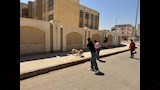 تحصين 150 كلبًا حرًا بأسيوط الجديدة (6)