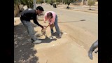 تحصين 150 كلبًا حرًا بأسيوط الجديدة (10)