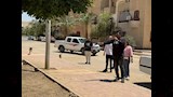 تحصين 150 كلبًا حرًا بأسيوط الجديدة (12)