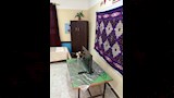 تعليم القاهرة تؤكد جاهزية استراحات الدبلومات الفنية بالكامل  (10)