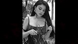 هيفاء وهبي (3)
