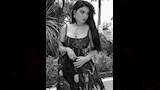 هيفاء وهبي (23)