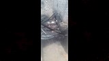 تلفيات الحريق
