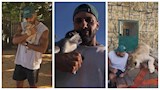 "هصاحب الأسد".. حسن أبو الروس يداعب أسد ونسر وثعبان (صور وفيديو)