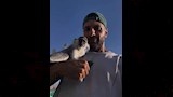 حسن ابو الروس مع النسناس (2)