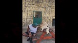 حسن ابو الروس يداعب الأسد (2)