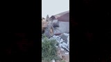 مخالفات البناء
