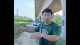 رافق الكلب مدون السفر جو في رحلات عديدة 