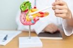 طرق تنظيف البنكرياس- 10 نصائح تساعد على تطهيره من السموم