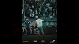 المصري 