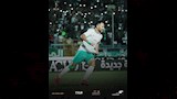المصري 