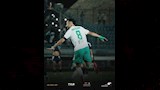 المصري 