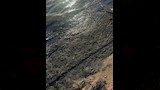تلوث-زيتي-بالشاطئ