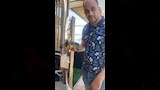 إطلاق سلحفاة نادرة في الإسكندرية بعد عام من العلاج (1)