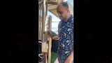 إطلاق سلحفاة نادرة في الإسكندرية بعد عام من العلاج (3)