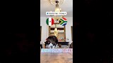 القط العراف (6)