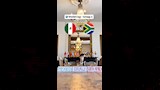 القط العراف (4)