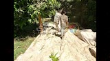موسم المانجو في أسوان 