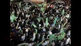 احتفالات جماهير النادي المصري٢