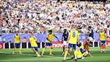 خلال مباراة فرنسا والسويد (4)