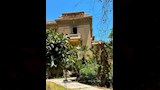 إخلاء مبنى التصوير بفنون الإسكندرية بحكم قضائي (3)_4