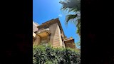 إخلاء مبنى التصوير بفنون الإسكندرية بحكم قضائي (5)_2