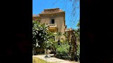 إخلاء مبنى التصوير بفنون الإسكندرية بحكم قضائي (3)_3