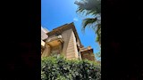 إخلاء مبنى التصوير بفنون الإسكندرية بحكم قضائي (5)_5