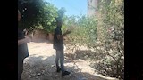 تحرك عاجل في الشرقية لاصطياد